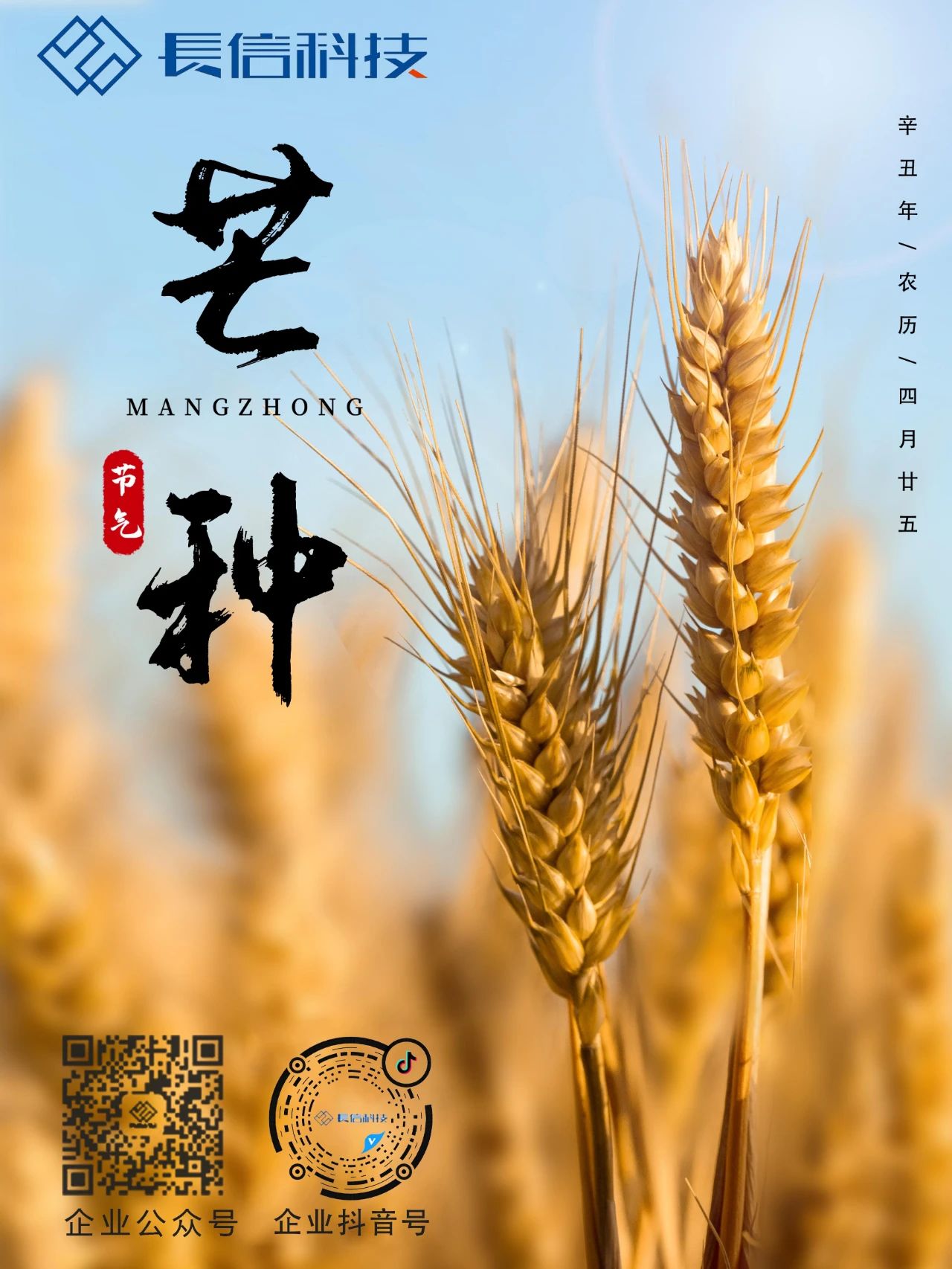 微信圖片_20250724075930.jpg